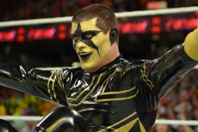 cody rhodes stardust wwe