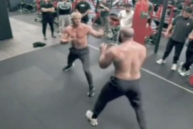 logan paul bradley martyn