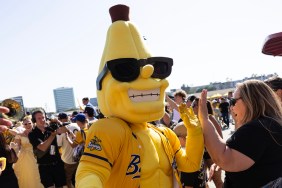 Savannah Bananas baseball