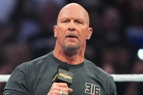 Steve Austin