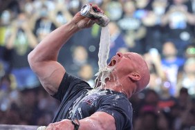 Steve Austin