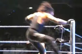 The Undertaker hot tag