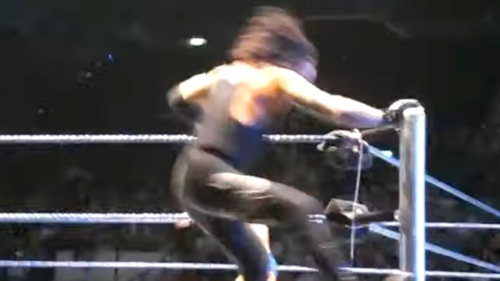 The Undertaker hot tag