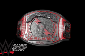 CM Punk-Themed WWE Championship Replica