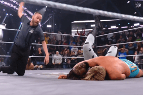 WWE NXT Tag Titles