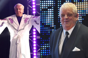 Ric Flair and Dusty Rhodes
