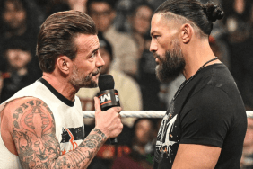CM Punk & Roman Reigns