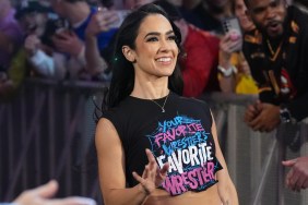 AJ Lee