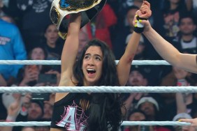 aj lee wwe elimination chamber