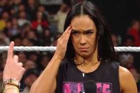 AJ Lee at WWE RAW