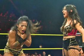 WWE NXT's Arianna Grace attacks Lei Ying Le at TNA No Surrender and wins TNA Knockouts Title