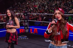 RAW Brie and Nikki Bella want to see more women's matches at WrestleMania 42