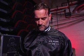 CM Punk WWE