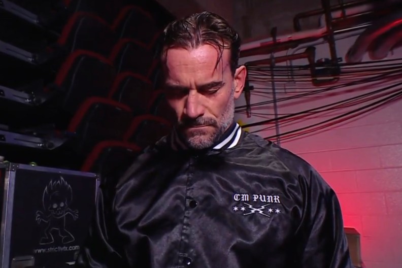 CM Punk WWE
