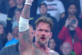 CM Punk