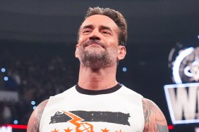CM Punk