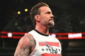 CM Punk