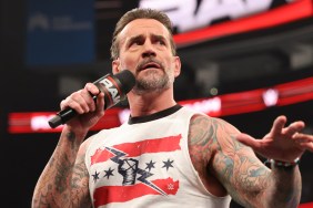 CM Punk