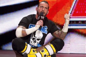 CM Punk