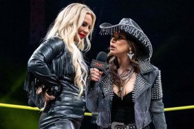 mickie james ash by elegance
