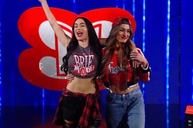 nikki bella brie bella wwe raw