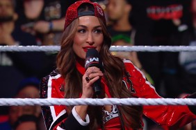 nikki bella wwe raw