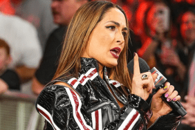 nikki bella wwe