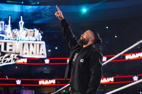 roman reigns wwe wrestlemania 42