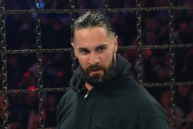 seth rollins wwe elimination chamber