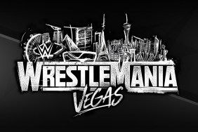 wwe wrestlemania 42 results