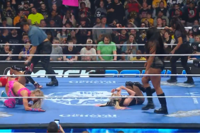 Nikki Bella WWE SmackDown