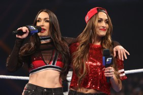 brie bella nikki bella wwe smackdown