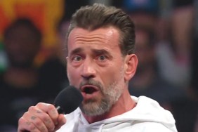 cm punk wwe raw