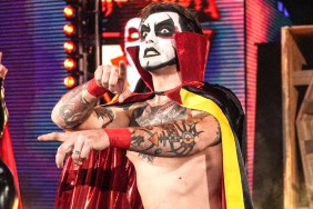 CM Punk explains why Danhausen is perfect for WWE