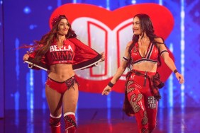 nikki bella brie bella