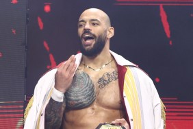 ricochet