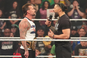 roman reigns cm punk