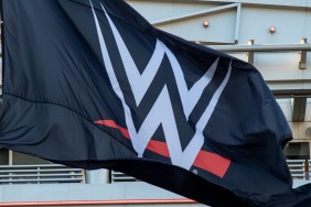 WWE logo