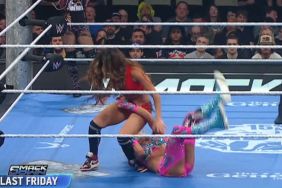 Nikki Bella ankle injury on WWE SmackDown