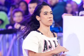 AJ Lee