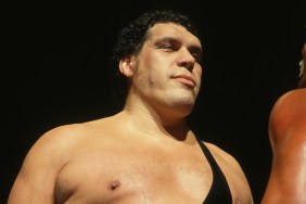 Andre the Giant