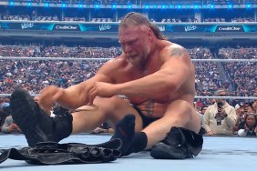 Brock Lesnar WWE