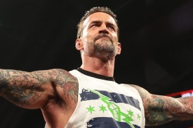 CM Punk