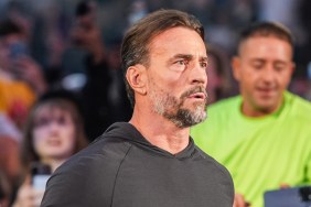 CM Punk