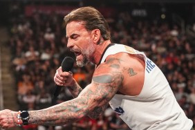 CM Punk