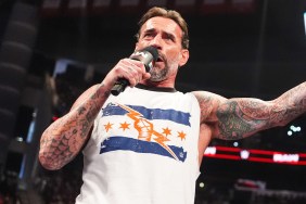 CM Punk