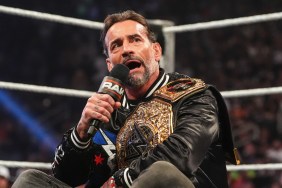 CM Punk