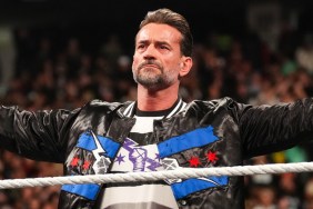 CM Punk