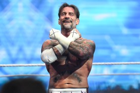CM Punk
