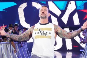 CM Punk